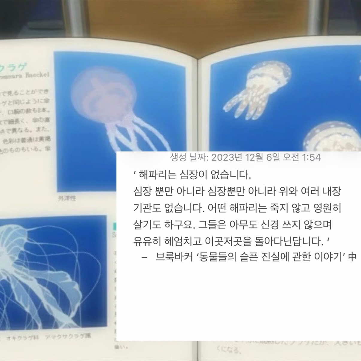 규리 바다, 바람, 사랑 콘셉트 포토 7-4